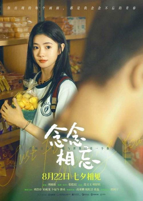 念念相忘在线视频播放,一场跨越时空的深情邂逅