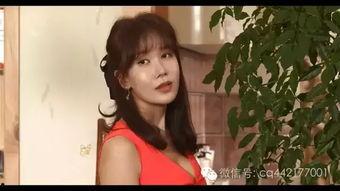 公司情事韩国在线视频,洞察本土潮流与文化魅力