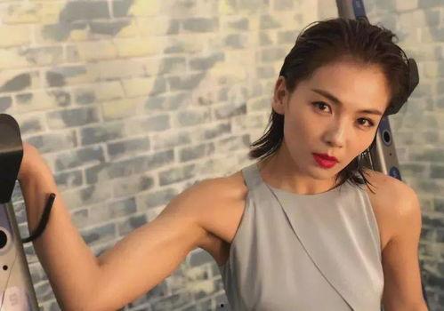 换脸刘涛在线视频播放,颠覆传统，体验虚拟与现实交融的视觉盛宴