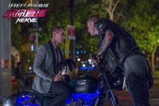 玩命直播 在线视频,揭秘网络直播背后的惊险世界