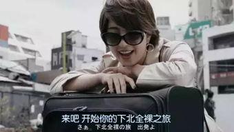 夜间岛国在线视频