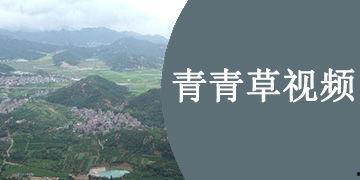 青青草永久在线在线视频,畅享无界视频盛宴