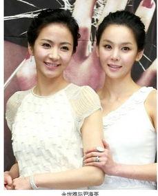 蔷薇红莲在线视频观看,一场视觉盛宴的在线视频之旅