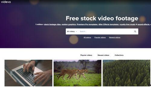 特别网站在线视频