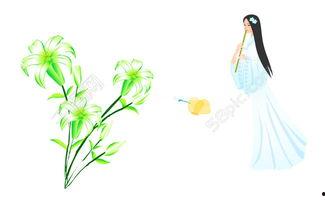 美女吹箫在线视频网站,揭秘美女吹箫在线视频网站的魅力之旅