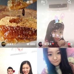 波萝网在线视频,精彩瞬间回顾